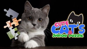 Cute Cats Jigsaw Puzzle Game