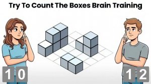Try To Count The Boxes Brain Training Game