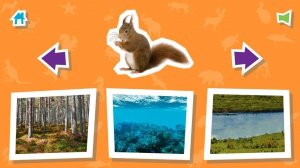 Animal House: Fun Animal Habitat Learning Game