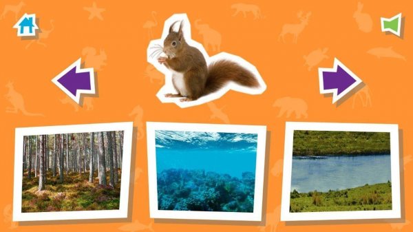 Animal House: Fun Animal Habitat Learning Game