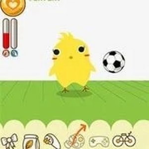 Happy Hen: Virtual Pet Care