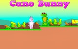 Cano Bunny: Carrot Quest