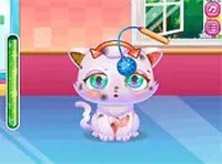 Sweet Pet Care Adventure