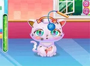 Sweet Pet Care Adventure
