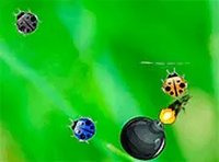 Colorful Bug Tapping Challenge